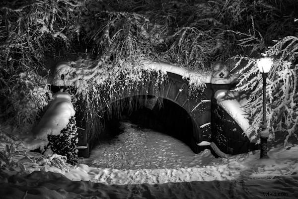 5 Expert Snow Photography Tips to Elevate Your Winter Scenes