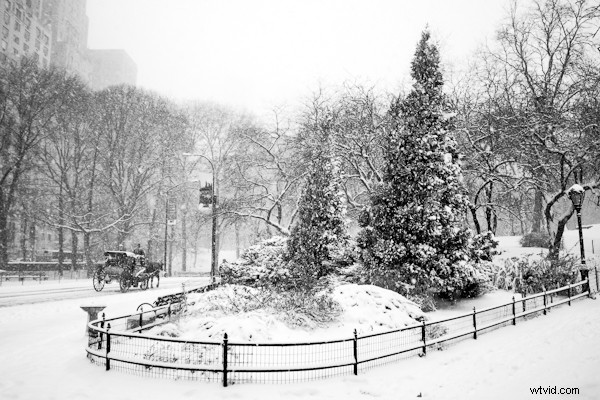 5 Expert Snow Photography Tips to Elevate Your Winter Scenes