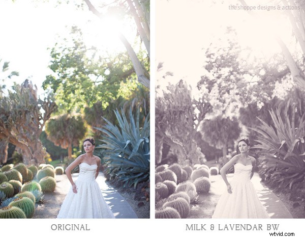 Master Photoshop Actions: Expert Tips to Love and Leverage Them