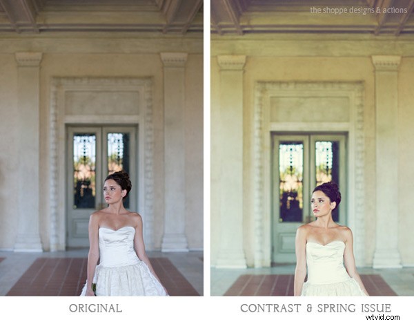 Master Photoshop Actions: Expert Tips to Love and Leverage Them