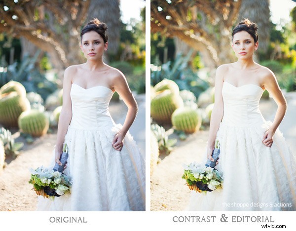 Master Photoshop Actions: Expert Tips to Love and Leverage Them