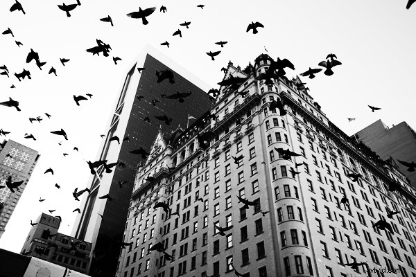 5 Common Over-Processing Mistakes Every Photographer Should Avoid