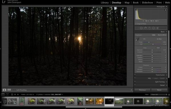 Transform Your Photos into Stunning Art with Topaz Simplify