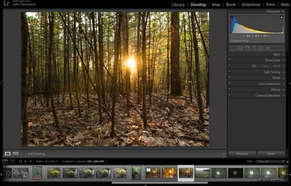 Transform Your Photos into Stunning Art with Topaz Simplify