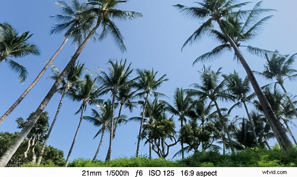 Olympus TG-850 Tough Waterproof Camera Review: Rugged Adventure Companion