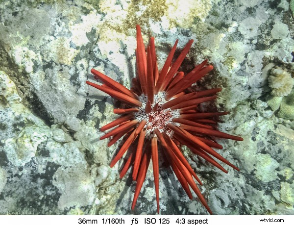 Olympus TG-850 Tough Waterproof Camera Review: Rugged Adventure Companion