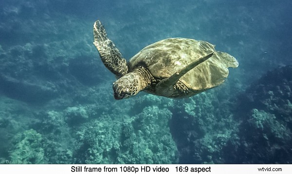 Olympus TG-850 Tough Waterproof Camera Review: Rugged Adventure Companion