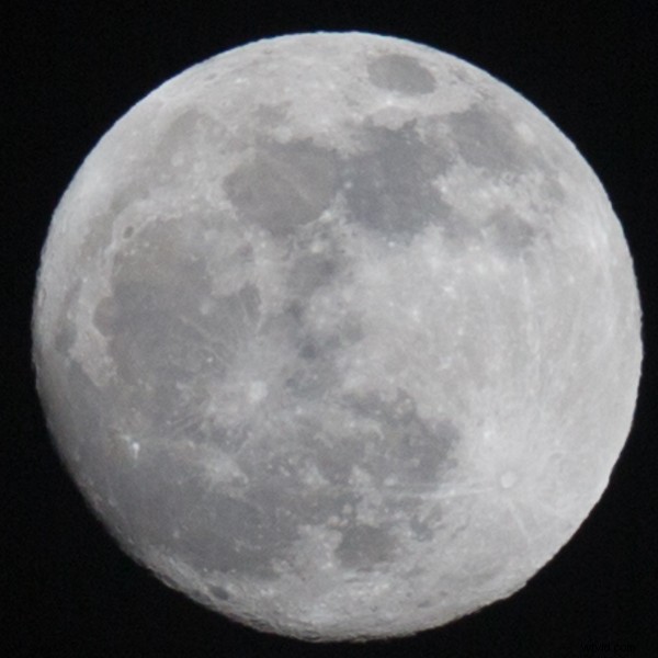 Tamron SP 150-600mm f/5-6.3 Di VC USD Lens Review: Performance, Features & Verdict