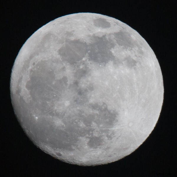 Tamron SP 150-600mm f/5-6.3 Di VC USD Lens Review: Performance, Features & Verdict