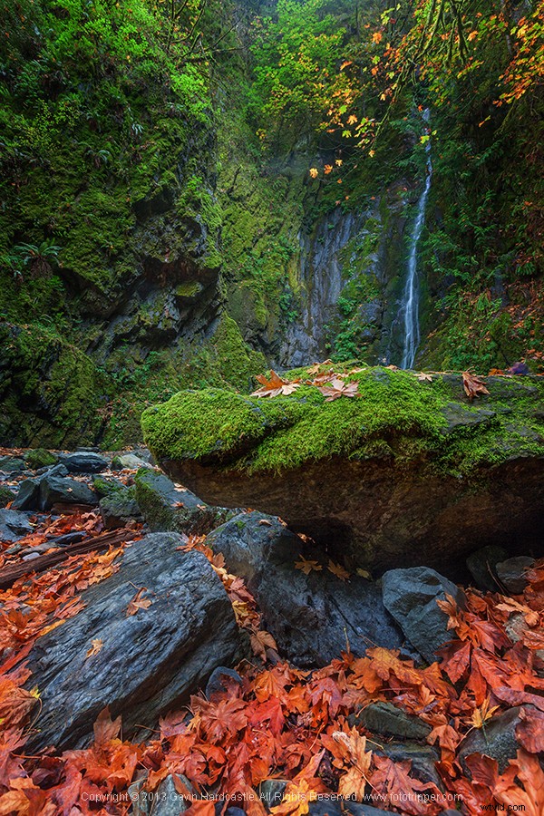 9 Expert Tips for Capturing Stunning Waterfalls, Creeks & Streams
