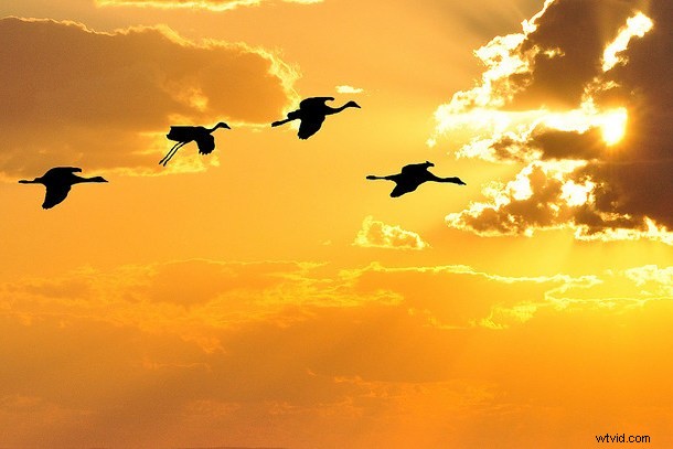 39 Stunning Colorful Sunset Photos from Nicaragua s Beaches