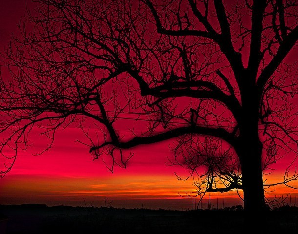 39 Stunning Colorful Sunset Photos from Nicaragua s Beaches