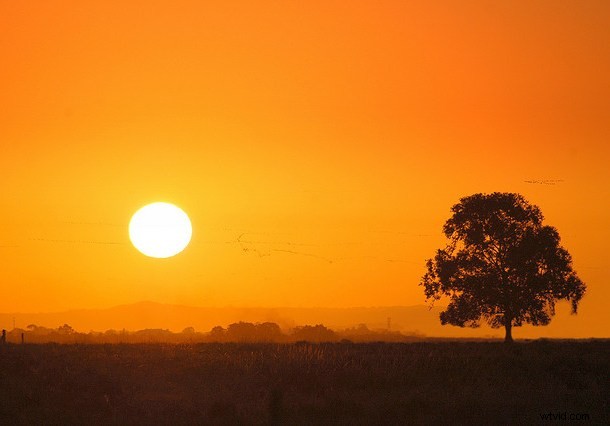 39 Stunning Colorful Sunset Photos from Nicaragua s Beaches
