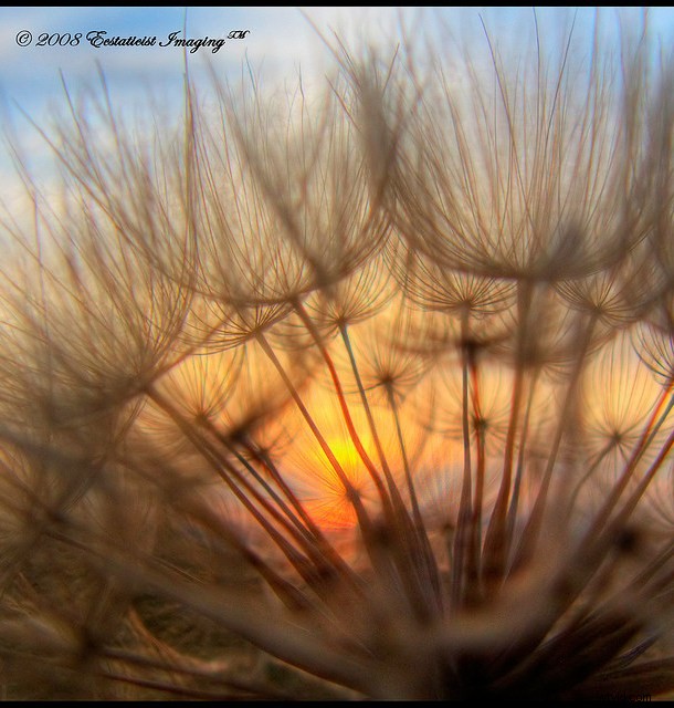 39 Stunning Colorful Sunset Photos from Nicaragua s Beaches