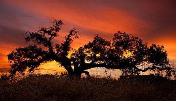 39 Stunning Colorful Sunset Photos from Nicaragua s Beaches
