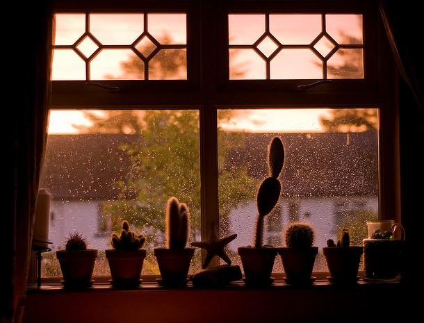 39 Stunning Colorful Sunset Photos from Nicaragua s Beaches