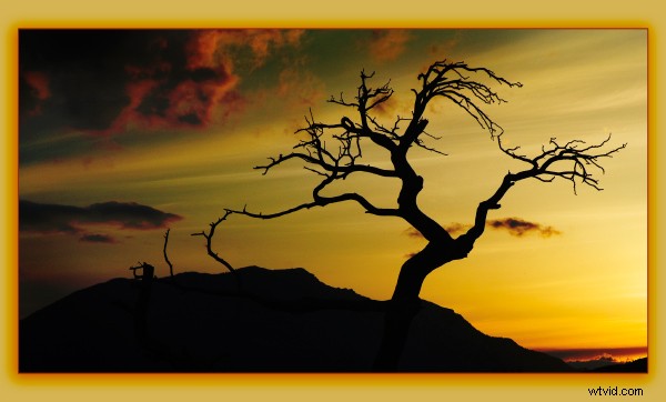 Master Self-Reflection: Elevate Your Photography from Good to WOW