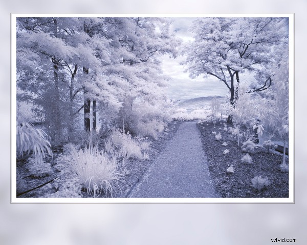 Master Self-Reflection: Elevate Your Photography from Good to WOW