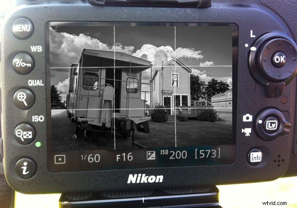 Master Color Photography: Use Monochrome Preview for Superior Composition