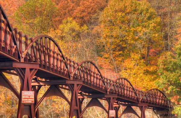 Master Color Photography: Use Monochrome Preview for Superior Composition