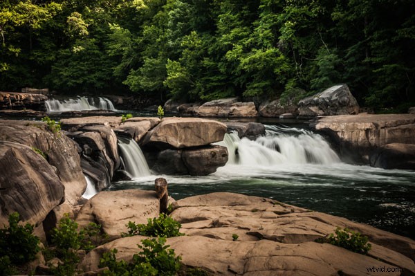 Master Color Photography: Use Monochrome Preview for Superior Composition