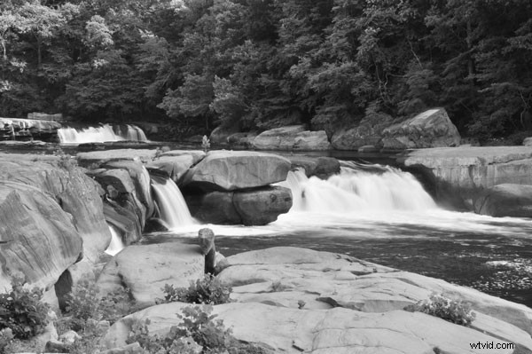 Master Color Photography: Use Monochrome Preview for Superior Composition