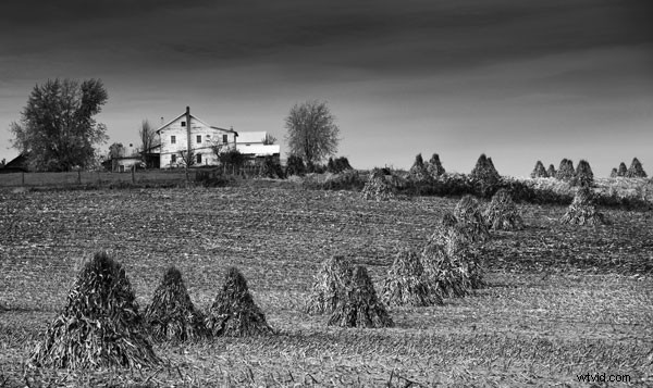 Master Color Photography: Use Monochrome Preview for Superior Composition