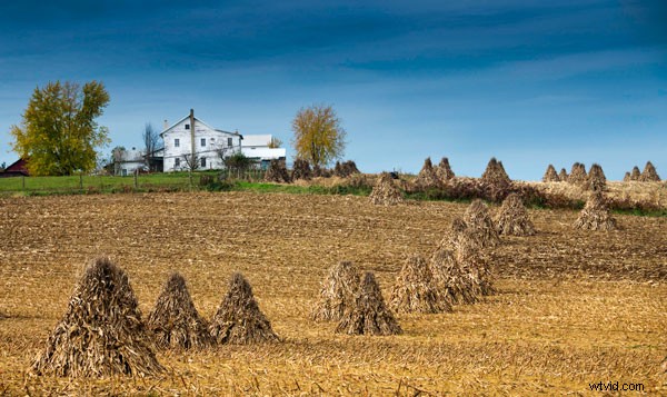 Master Color Photography: Use Monochrome Preview for Superior Composition