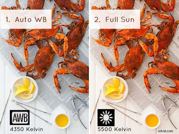 Master White Balance: Essential Guide for Perfect Colors in JPG Photography