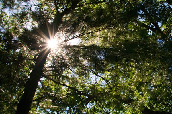 4 Proven Steps for Stress-Free, Effortless Photo Editing