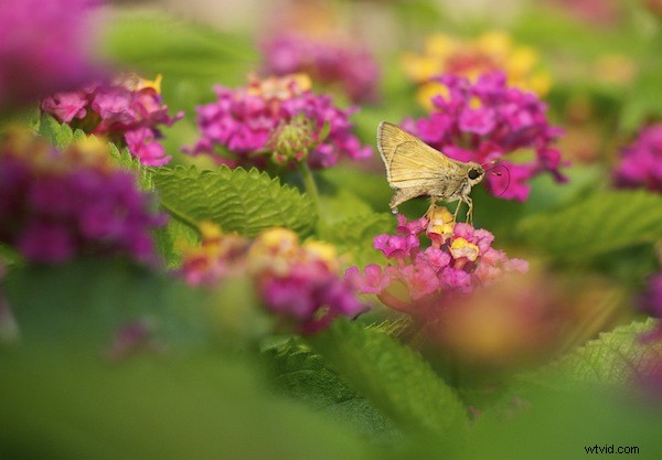 4 Proven Steps for Stress-Free, Effortless Photo Editing