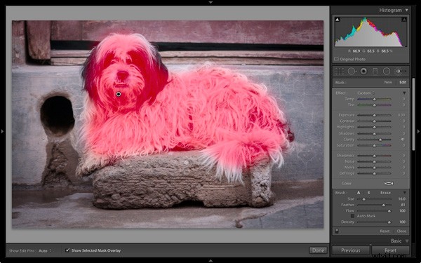 Master Texture in Photography: Pro Tips to Elevate Your Images