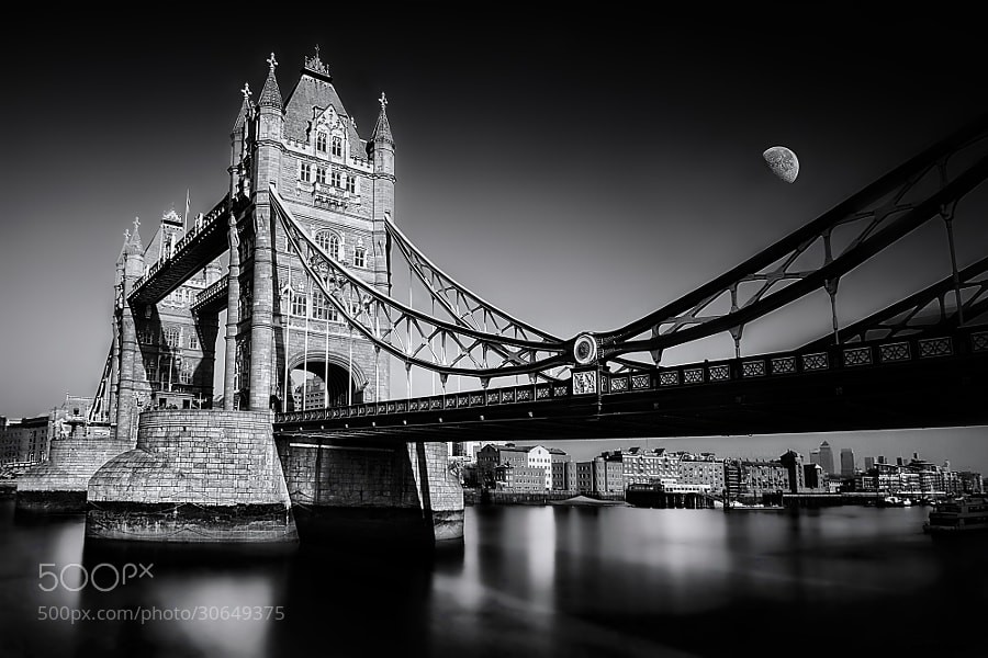 Stunning Black and White Photography: A Powerful Collection of Timeless Images