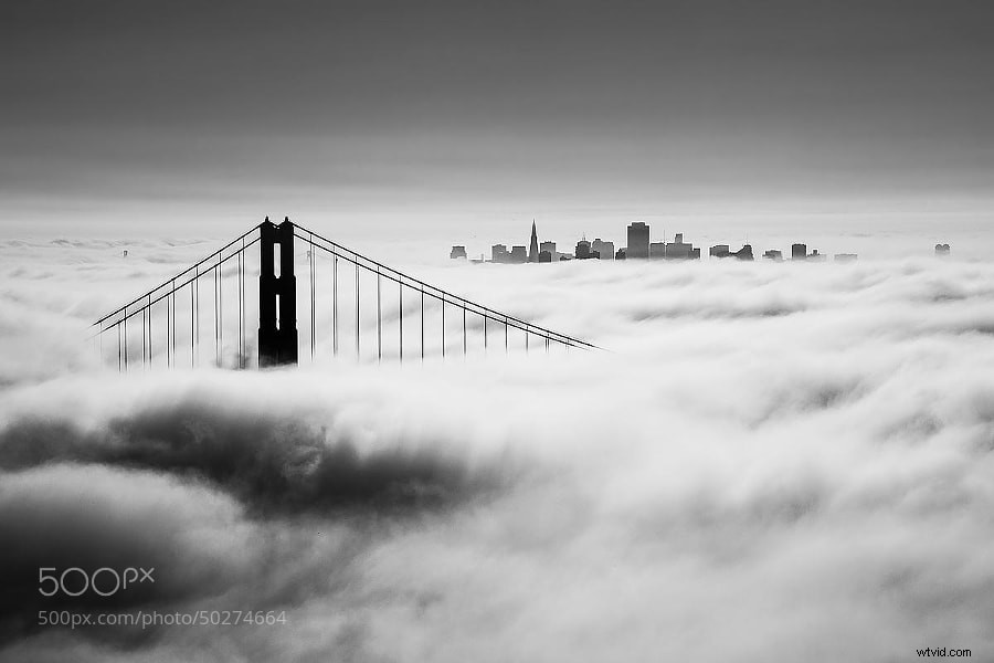 Stunning Black and White Photography: A Powerful Collection of Timeless Images