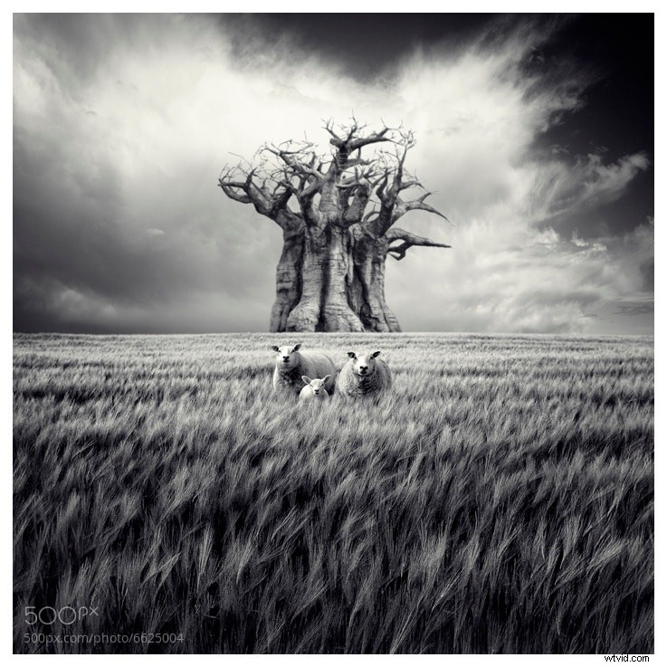 Stunning Black and White Photography: A Powerful Collection of Timeless Images