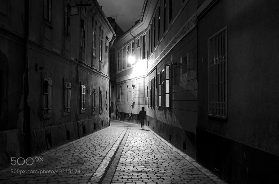 Stunning Black and White Photography: A Powerful Collection of Timeless Images