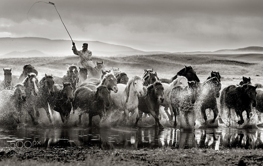 Stunning Black and White Photography: A Powerful Collection of Timeless Images