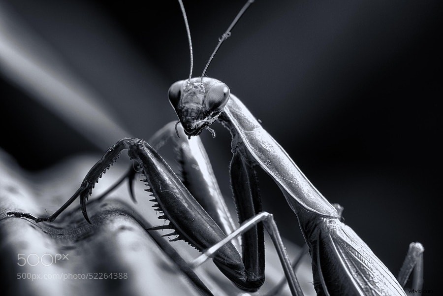 Stunning Black and White Photography: A Powerful Collection of Timeless Images