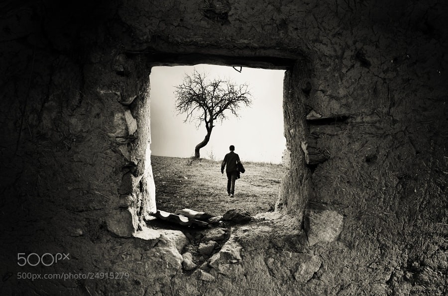 Stunning Black and White Photography: A Powerful Collection of Timeless Images