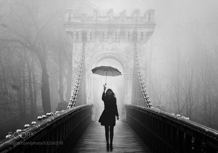 Stunning Black and White Photography: A Powerful Collection of Timeless Images