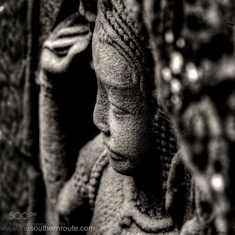 Stunning Black and White Photography: A Powerful Collection of Timeless Images