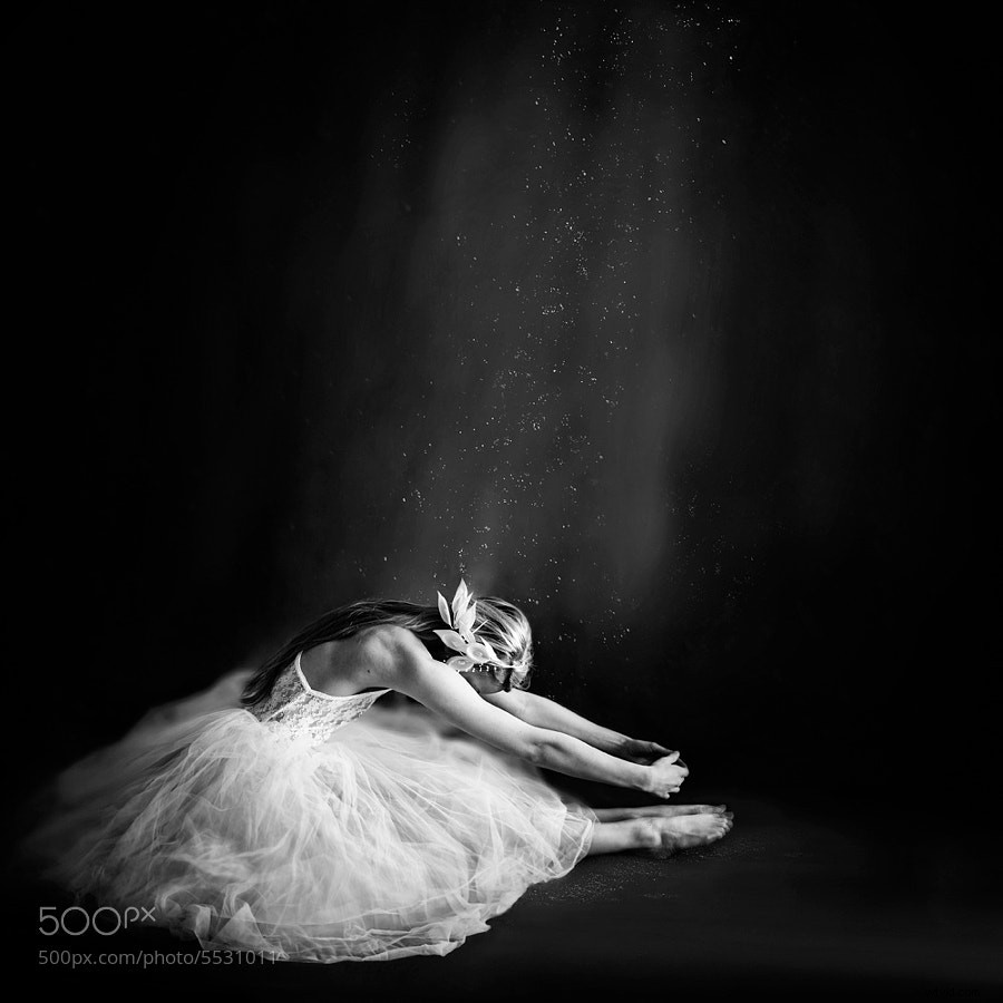 Stunning Black and White Photography: A Powerful Collection of Timeless Images