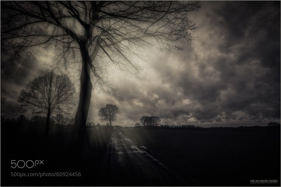 Stunning Black and White Photography: A Powerful Collection of Timeless Images