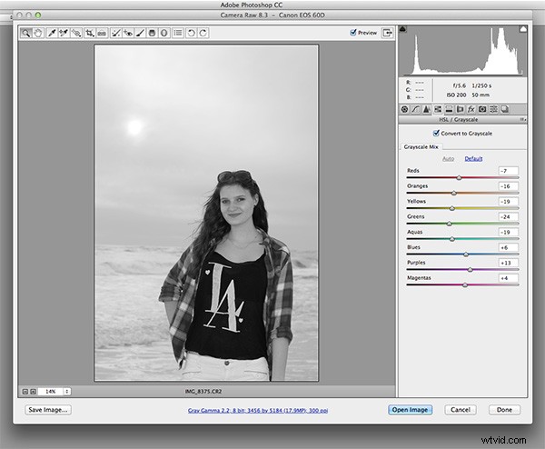 Master Black & White Photography: Expert Shooting and Processing Tips