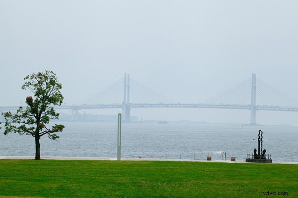 10 Essential Tips to Elevate Your Skills and Grow as a Photography Artist