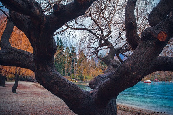 10 Essential Tips to Elevate Your Skills and Grow as a Photography Artist