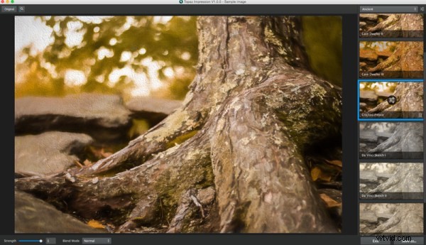Unlock Creative Magic: Mastering Topaz Impression for Stunning Photo Effects