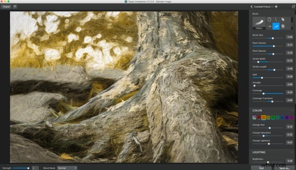 Unlock Creative Magic: Mastering Topaz Impression for Stunning Photo Effects