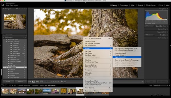Unlock Creative Magic: Mastering Topaz Impression for Stunning Photo Effects