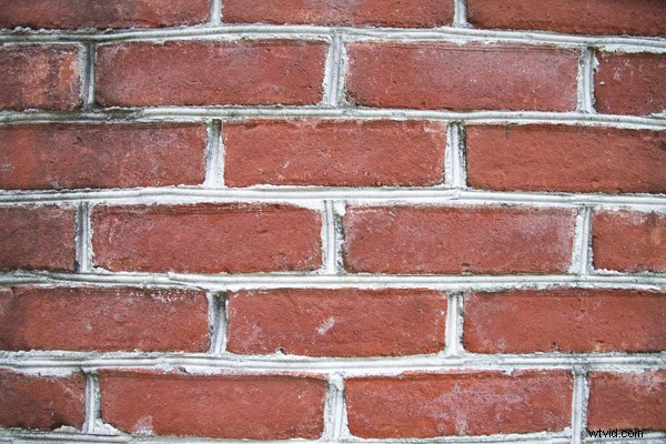 Tamron 16-300mm f/3.5-6.3 Di II VC PZD MACRO Lens Review: Versatile Superzoom Tested